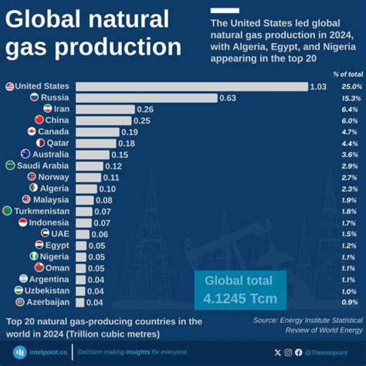 Who is the largest natural gas distributor?