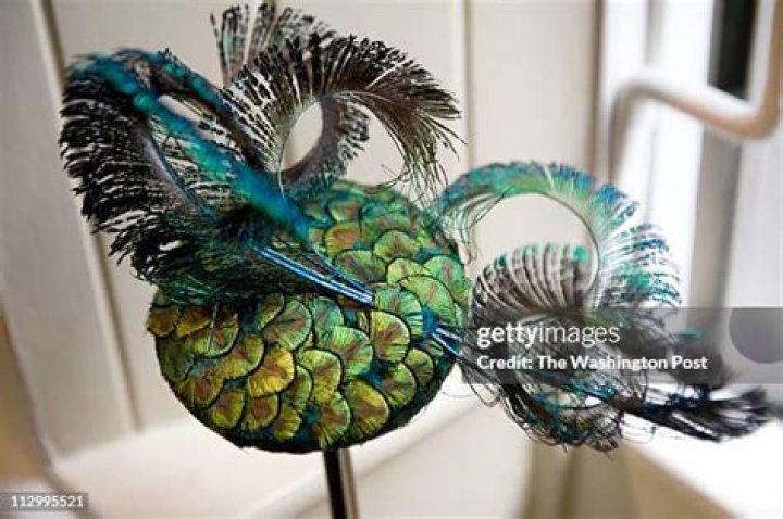 Who owns Ford MILLINERY?