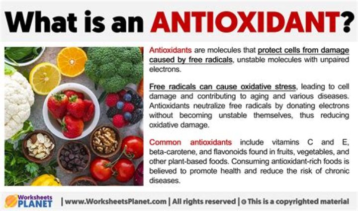Why antioxidants are bad for you