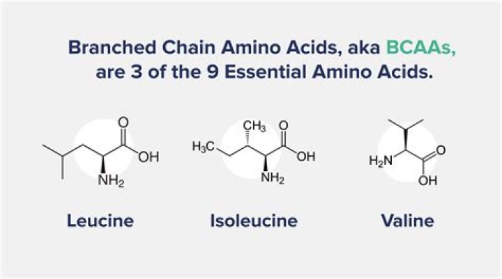 Why are they called branched chain amino acids