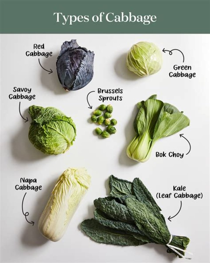Why cabbage is not good for health