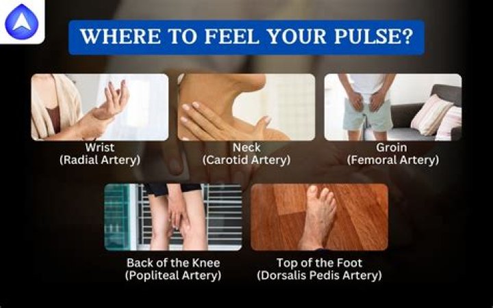 Why can I feel my pulse in my ankle