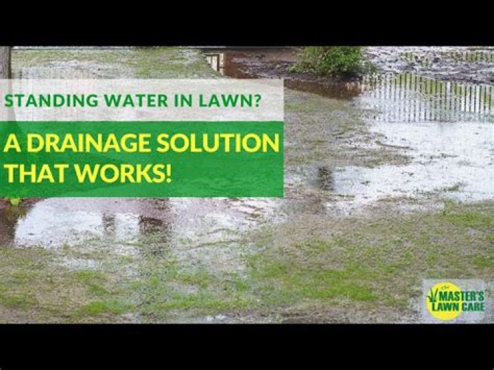 Why do I have standing water in my yard?