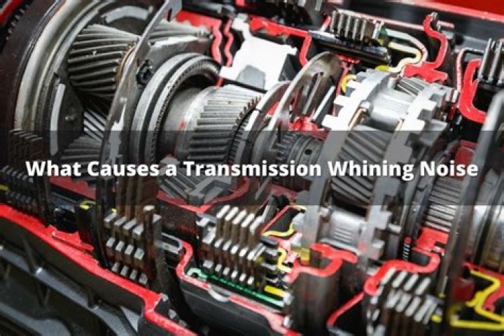 Why does my transmission make a clunking noise