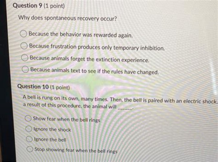 Why does spontaneous recovery occur