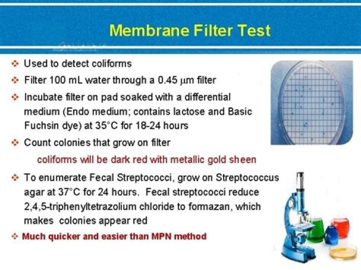 Why is Membrane filter technique used for enumerating coliforms