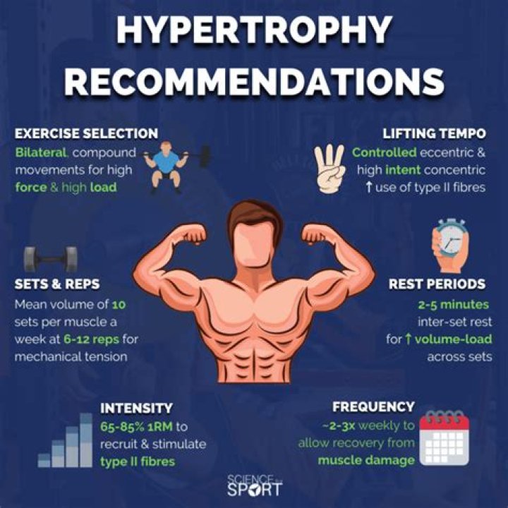 Why is muscle hypertrophy important