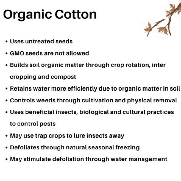 Why is organic cotton good