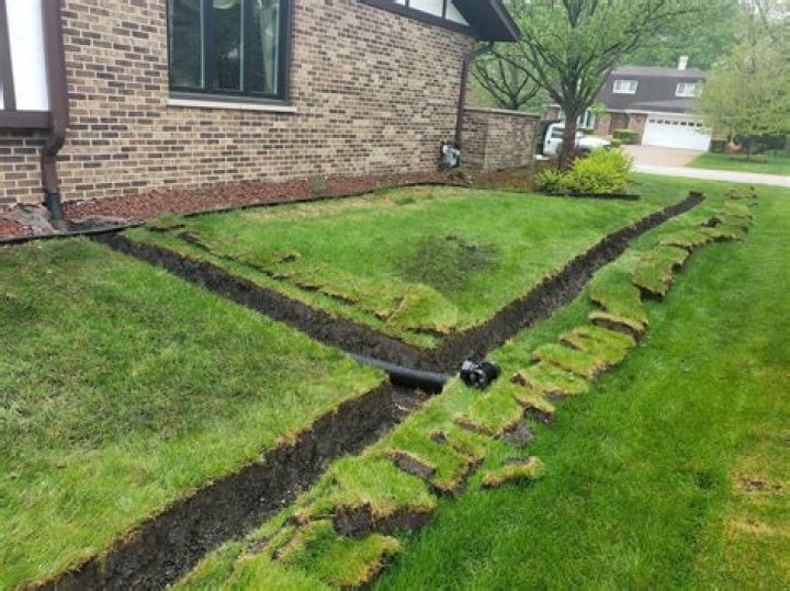Why is there a drain in my backyard