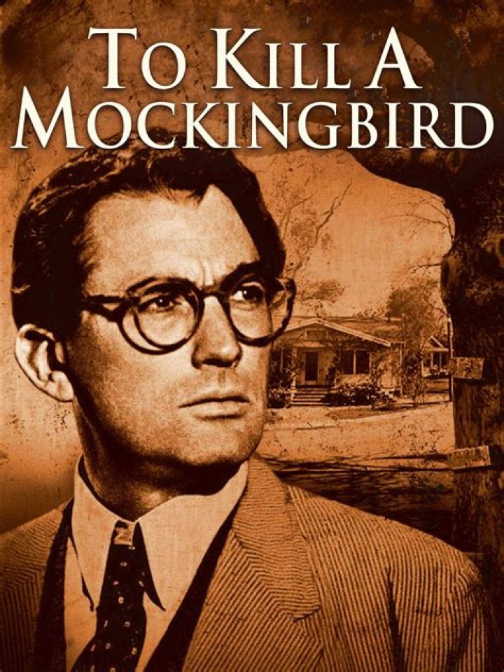 Why is To Kill a Mockingbird told from Scouts point of view