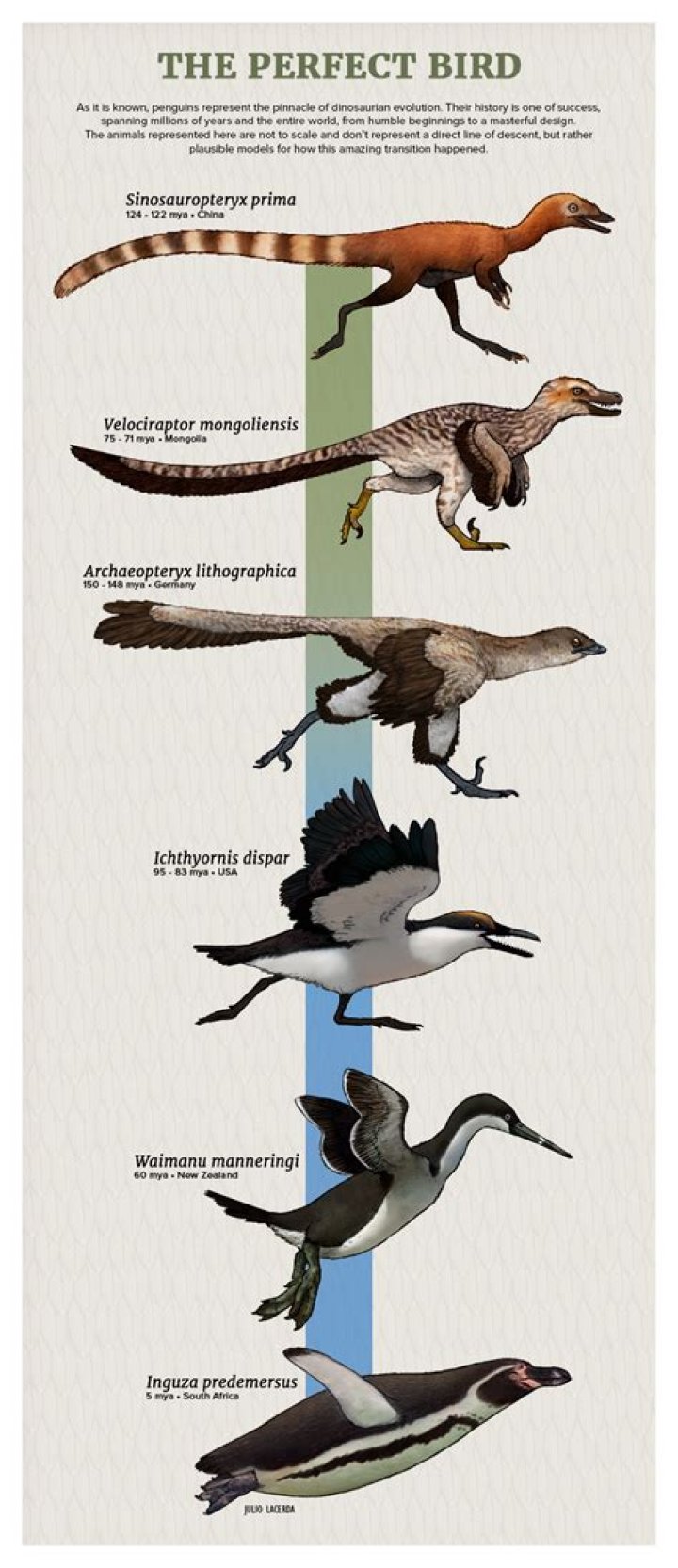 Will birds evolve into dinosaurs