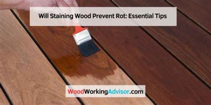 Will staining wood prevent mold